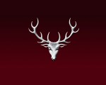 Dalmore Whisky